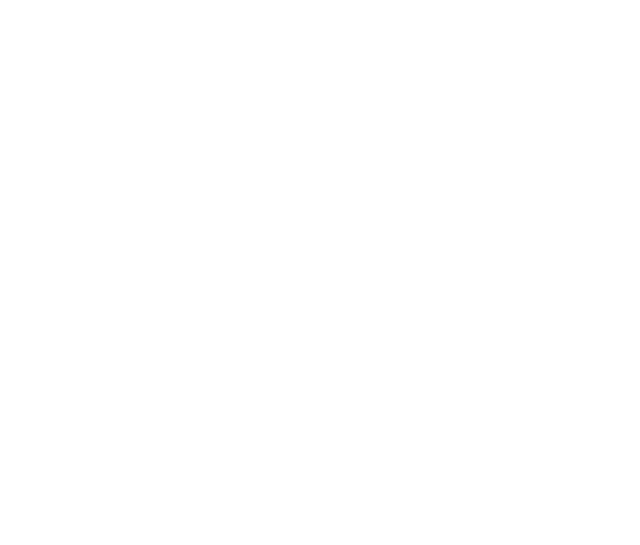 Secure document vault